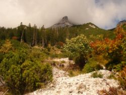 2013-10-08_Guffert (035).JPG